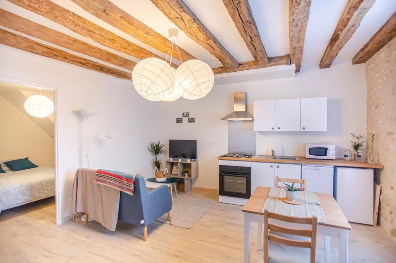 Nice getaway in Amboise&sauna in T2 near Royal Castle - LE LÉONARD Exterior foto